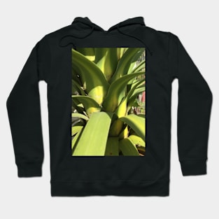 Tī Kōuka Hoodie